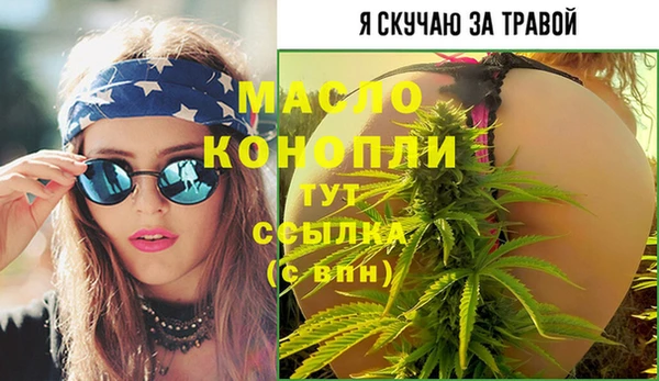 индика Армянск