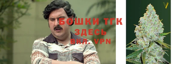 индика Армянск