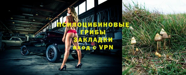 индика Армянск