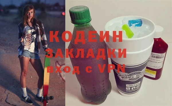 шишки Арсеньев
