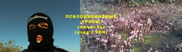 синтетический гашиш Алексеевка