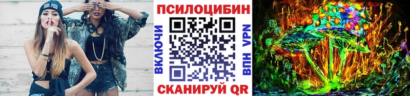 Купить где  Камешково  Псилоцибиновые грибы прущие грибы 