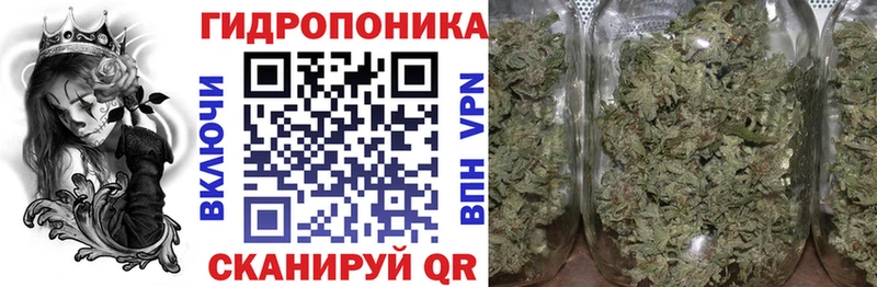 Бошки марихуана White Widow  Купить закладки  Камешково 